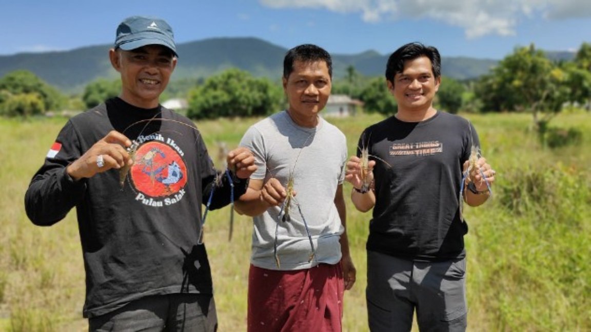 Budidaya Sicapit Biru Binaan Dinas Perikanan Tanah Bumbu Akan Panen Perdana